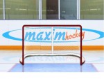 Имитатор - хоккейные ворота Т-770 - магазин СпортДоставка. Спортивные товары интернет магазин в Пушкино 